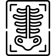 X-Ray