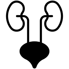 Uroflowmetry